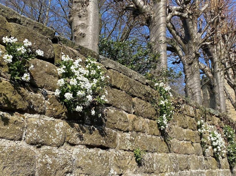 Garden Cottage - Ashover Village Near Matlock Честерфилд Экстерьер фото
